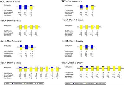 The alternative transcription and expression characterization of Dmc1 in autotetraploid Carassius auratus